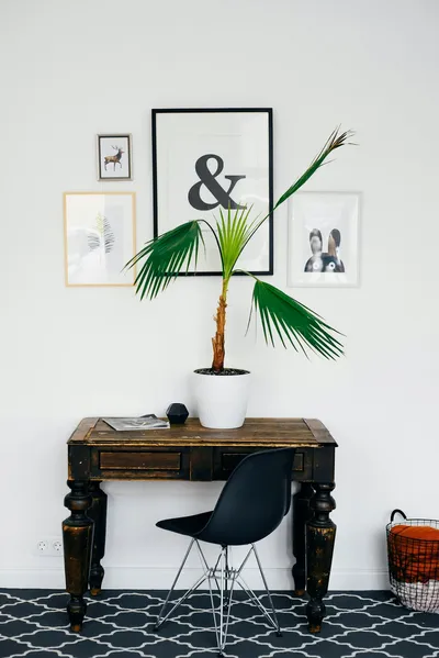 Achieving Year-Round Outdoor Appeal with Seasonal DecorIllustration